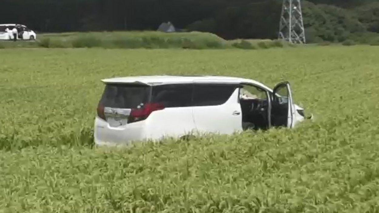 Seria Uma gangue de ladrões estrangeiros? 