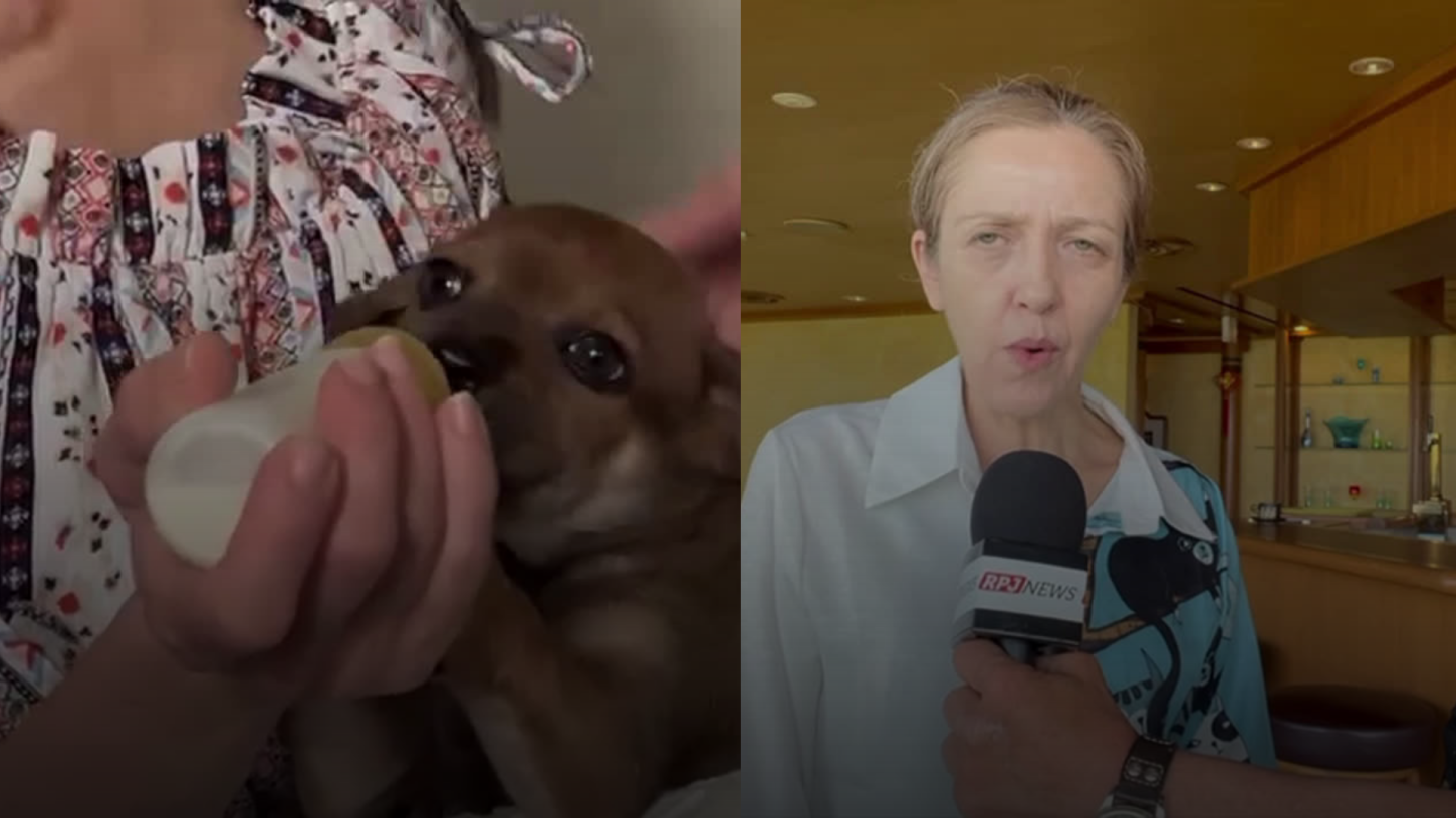 A Luta de Adriana Morita: Protetora de Animais Abandonados em Okinawa