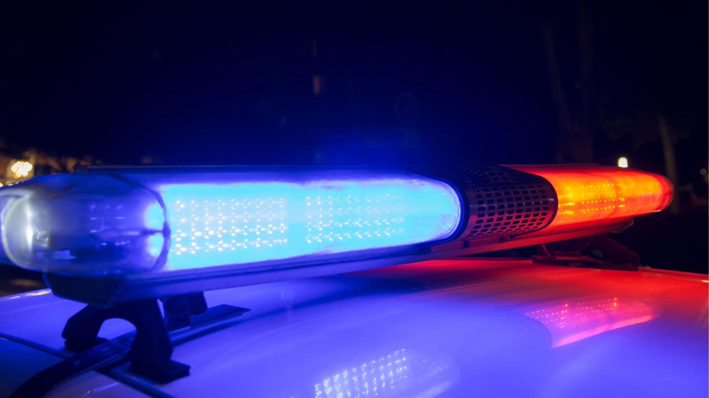 Quatro Pessoas Levemente Feridas após Ataque de Cachorro em Tochigi; Animal é Capturado