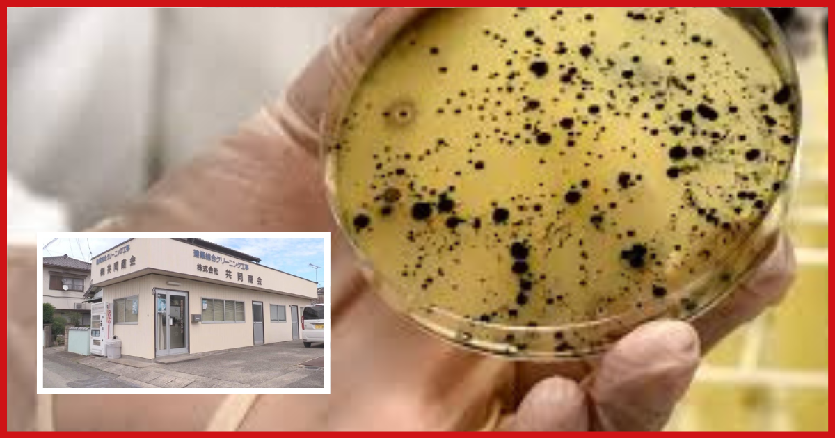 Malandragem Global: Executivo japonês é acusado de falsificar teste de água em escola primária