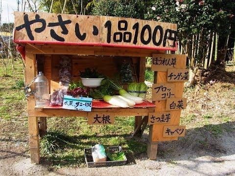 BANCAS SEM ATENDENTE